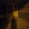 dia 23 de Novembro de 2021 2.50